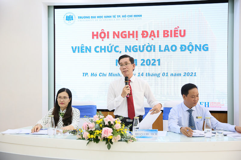 cá cược thể thao hul city